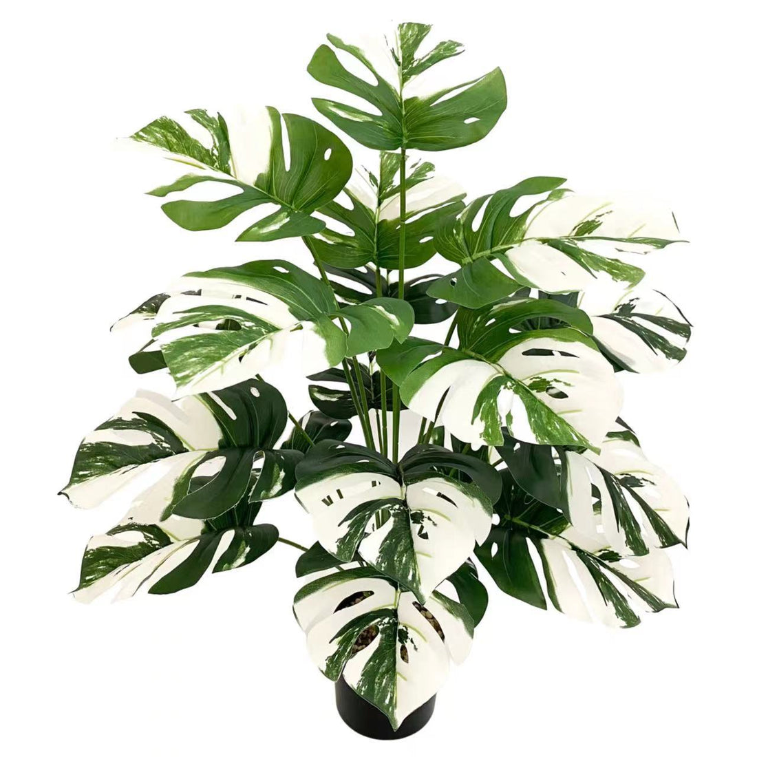 Green Window Plant Pot
