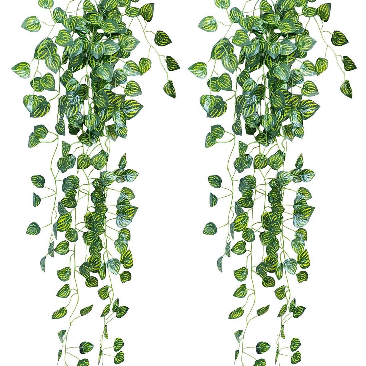 Hanging Wall Planters