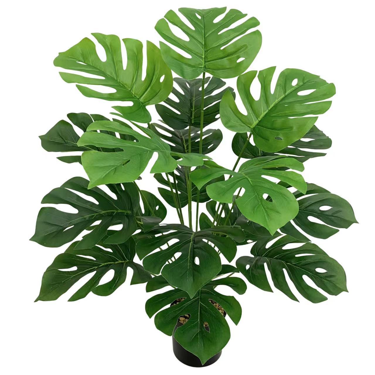 Green Window Plant Pot