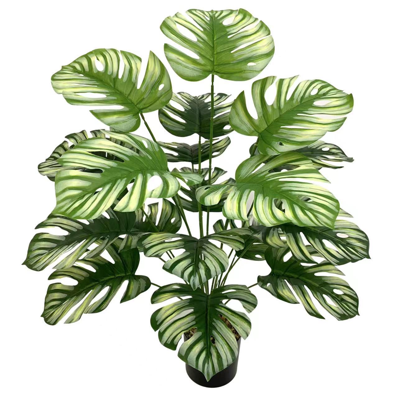 Green Window Plant Pot
