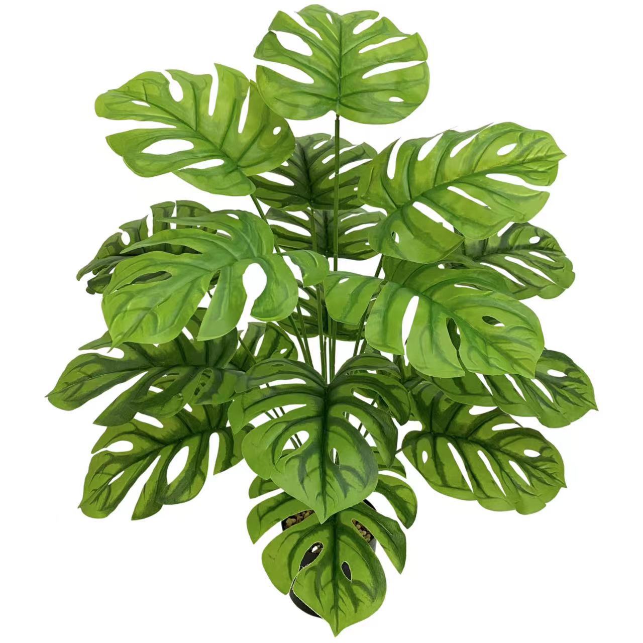 Green Window Plant Pot