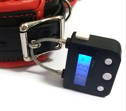 Lock with Timer