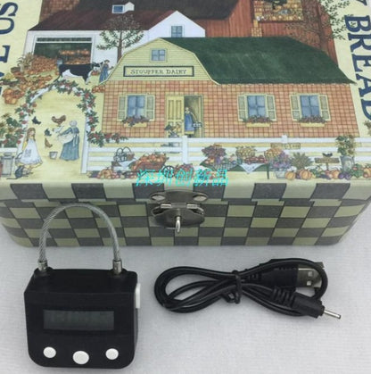 Lock with Timer