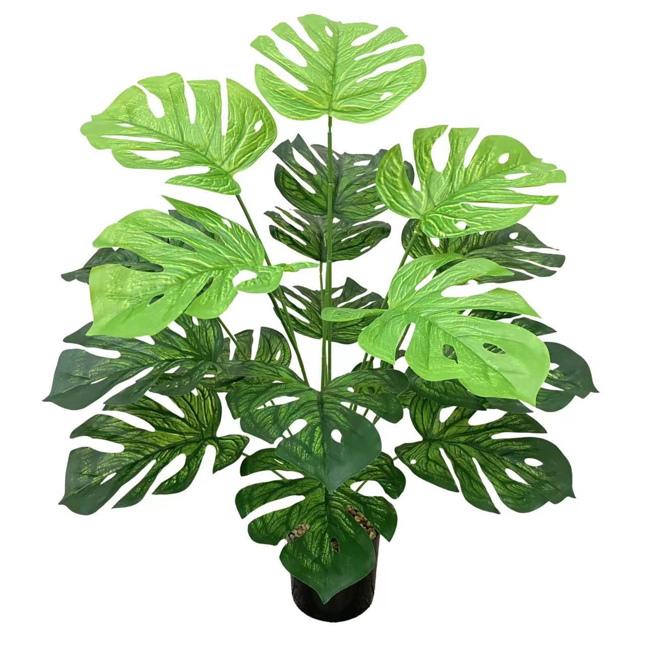 Green Window Plant Pot