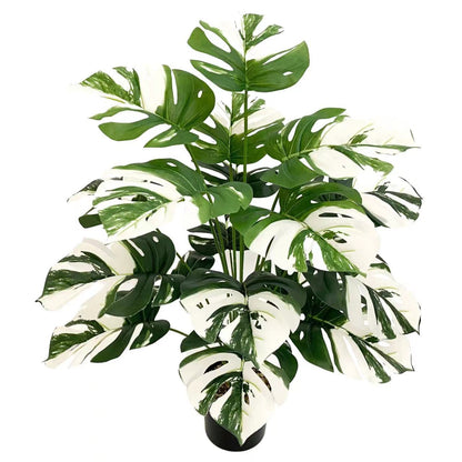 Green Window Plant Pot