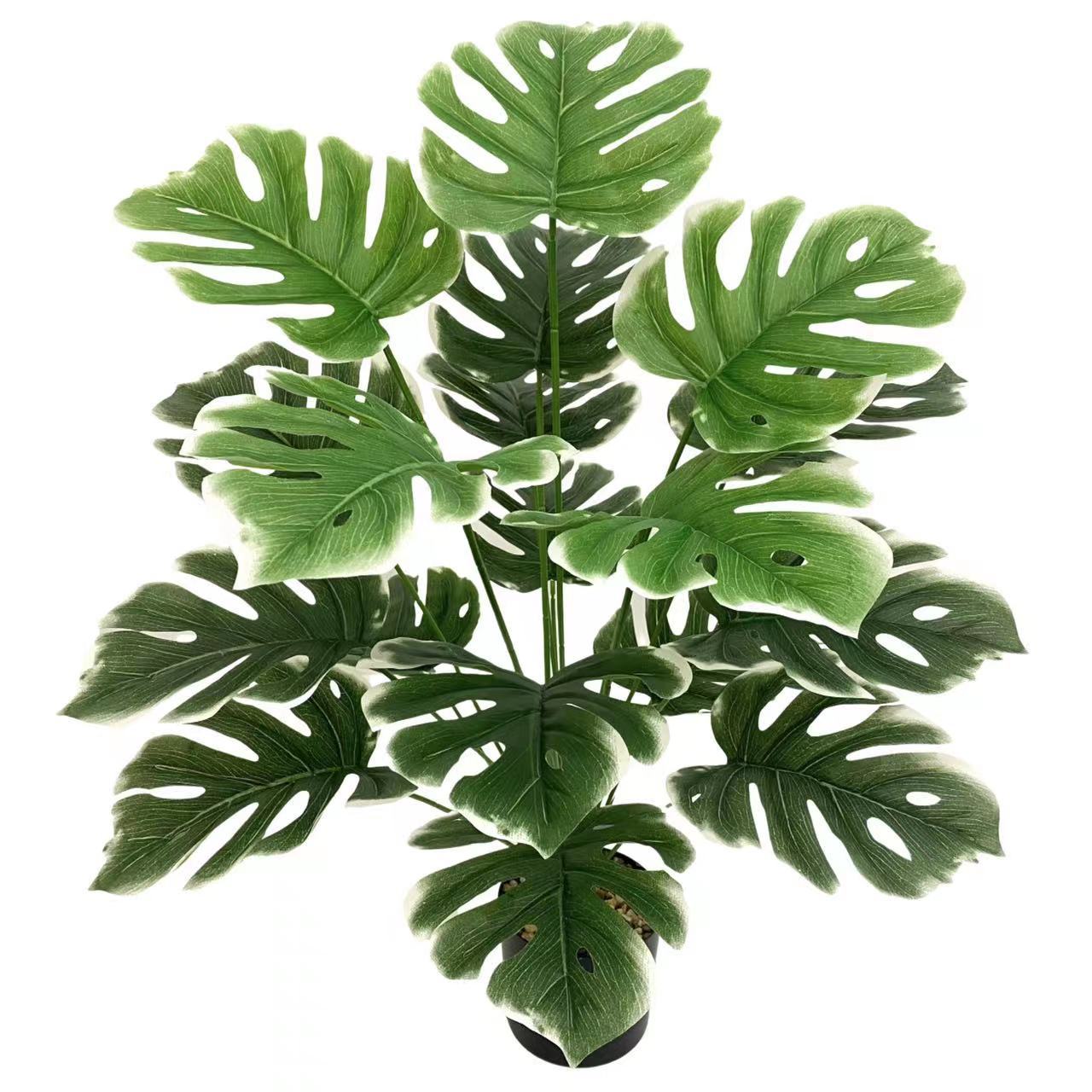 Green Window Plant Pot