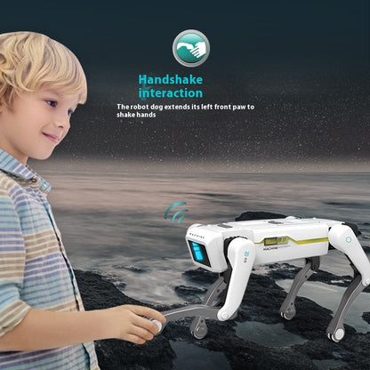 Robot Dog