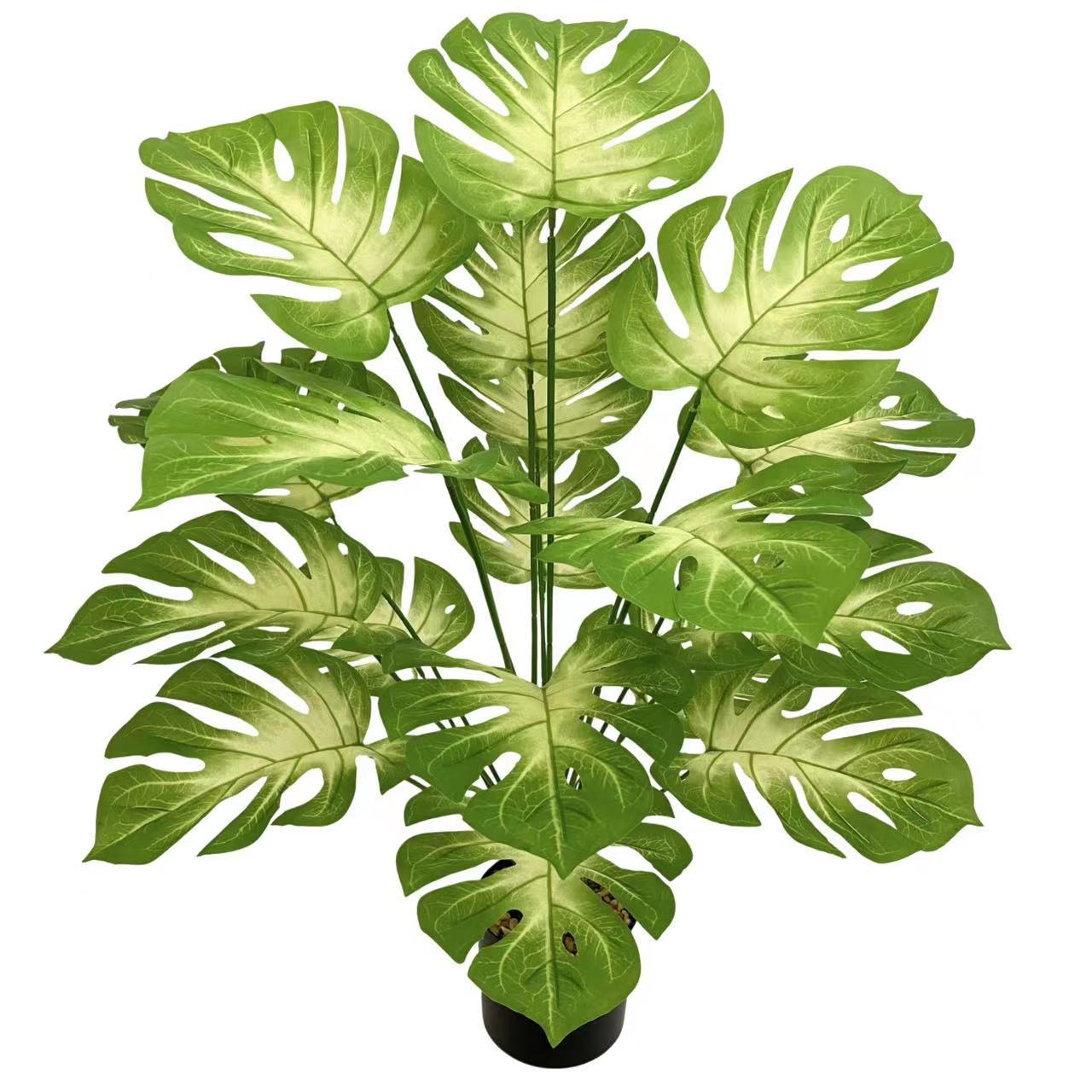 Green Window Plant Pot