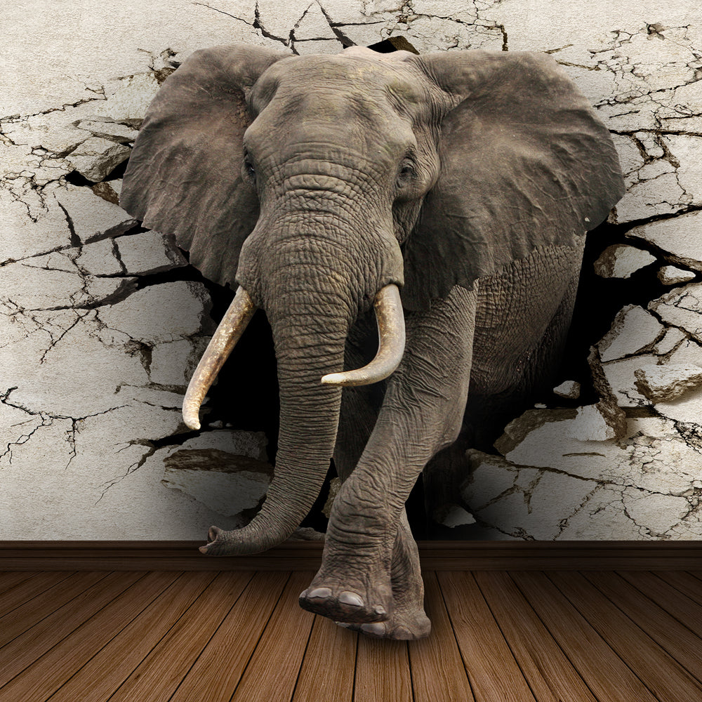 Creative Elephant Canvas Painting
